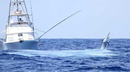 Deep Sea Fishing