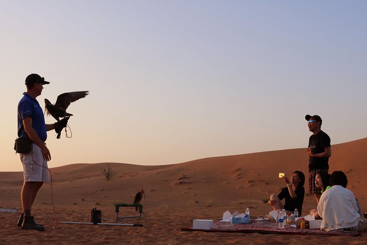 Desert safari with live shows Dubai