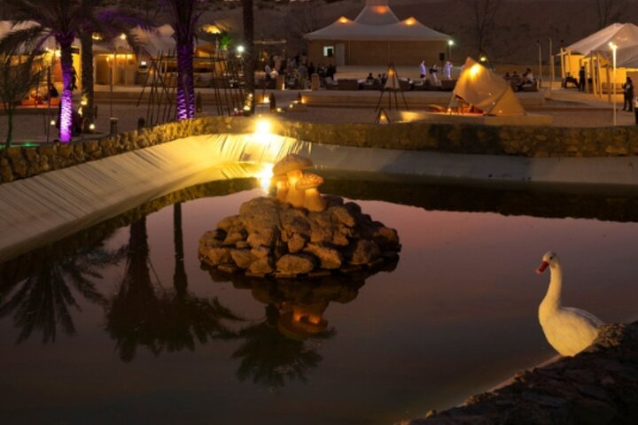 Evening safari with entertainment