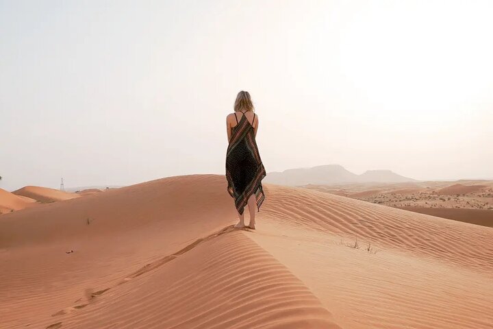 Premium Range Rover safari